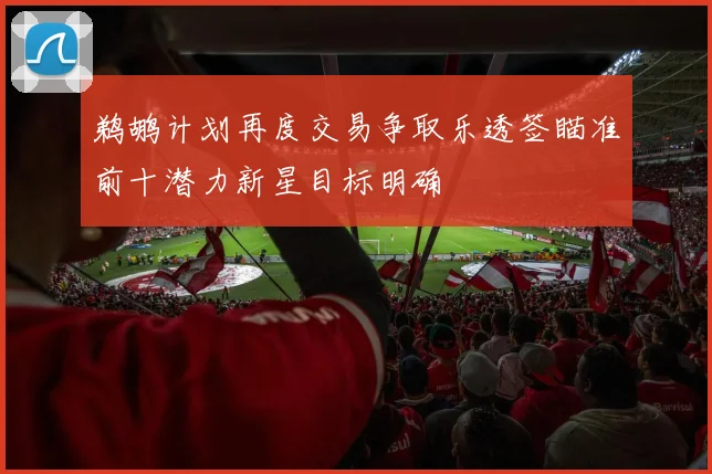 鹈鹕计划再度交易争取乐透签瞄准前十潜力新星目标明确