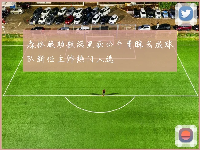 森林狼助教诺里获公牛青睐或成球队新任主帅热门人选